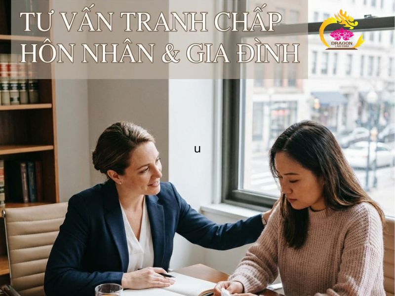 luật sư có kinh nghiệm xử lý tranh chấp dân sự